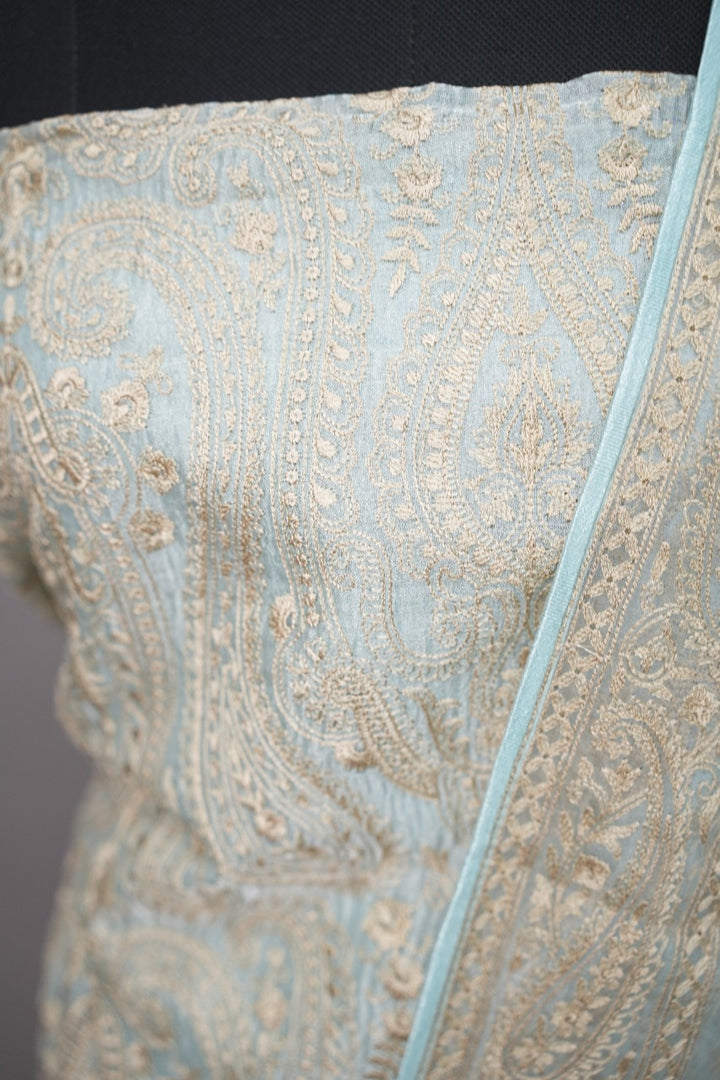 Organza Salwar TSS3333