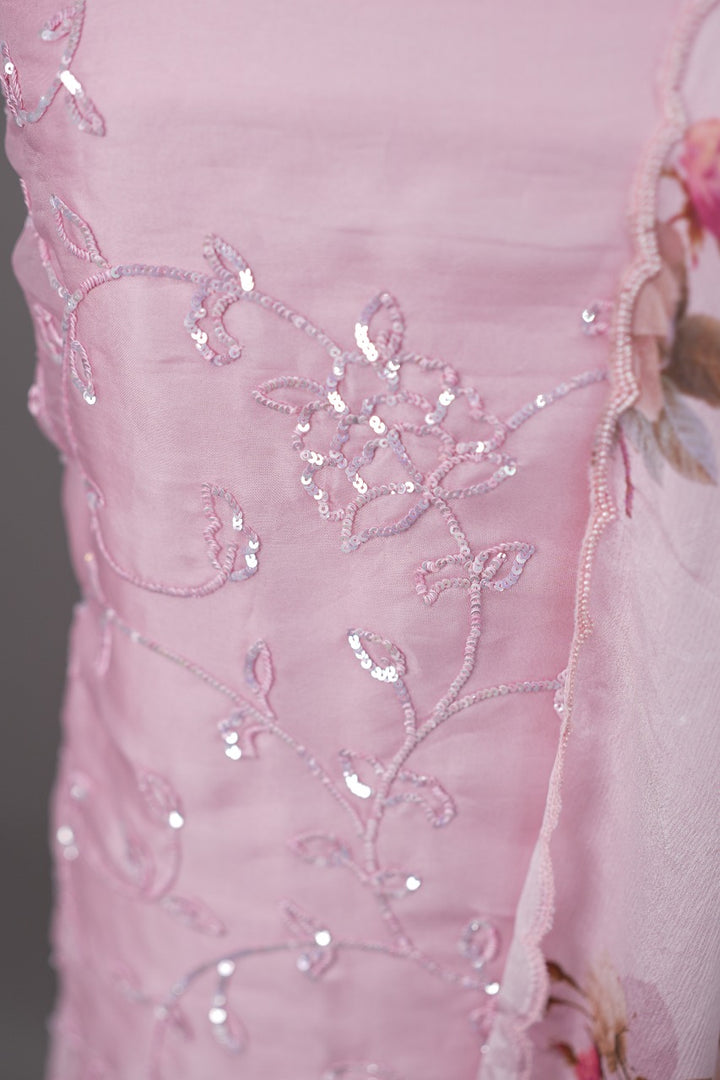Organza Salwar TSS3382