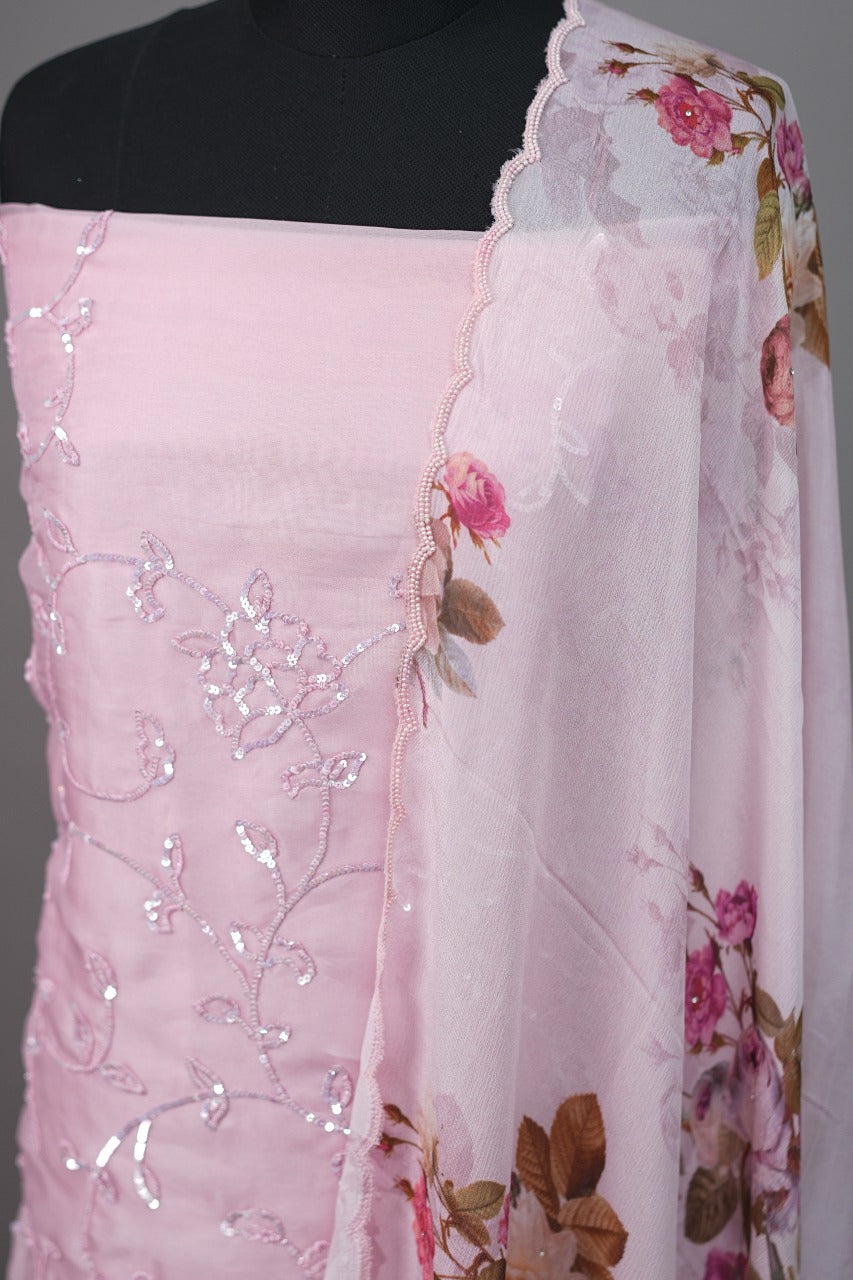 Organza Salwar TSS3382