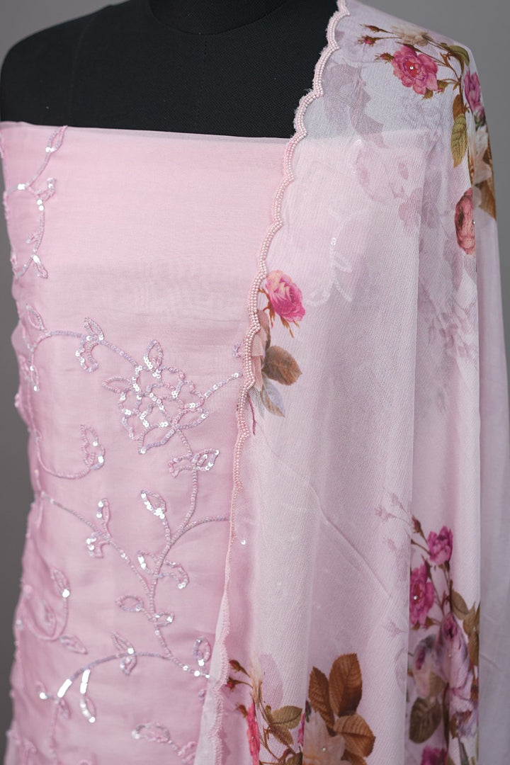 Organza Salwar TSS3382