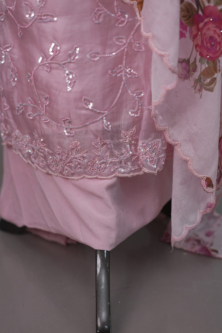 Organza Salwar TSS3382