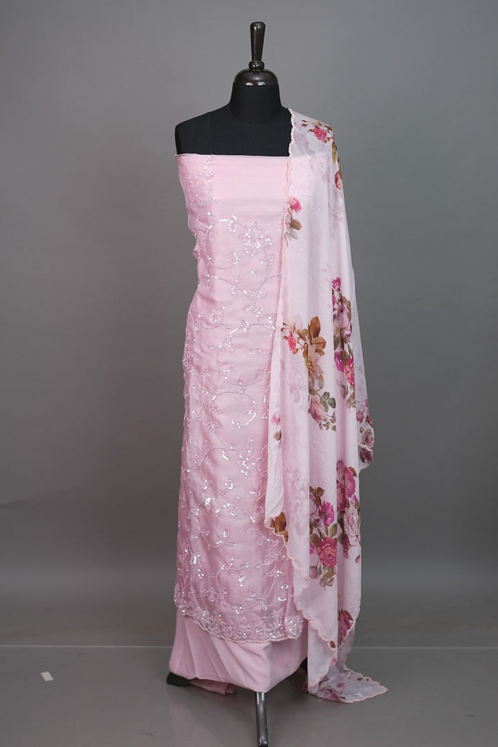 Organza Salwar TSS3382
