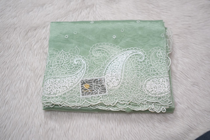 Glass Organza Saree TSA3417