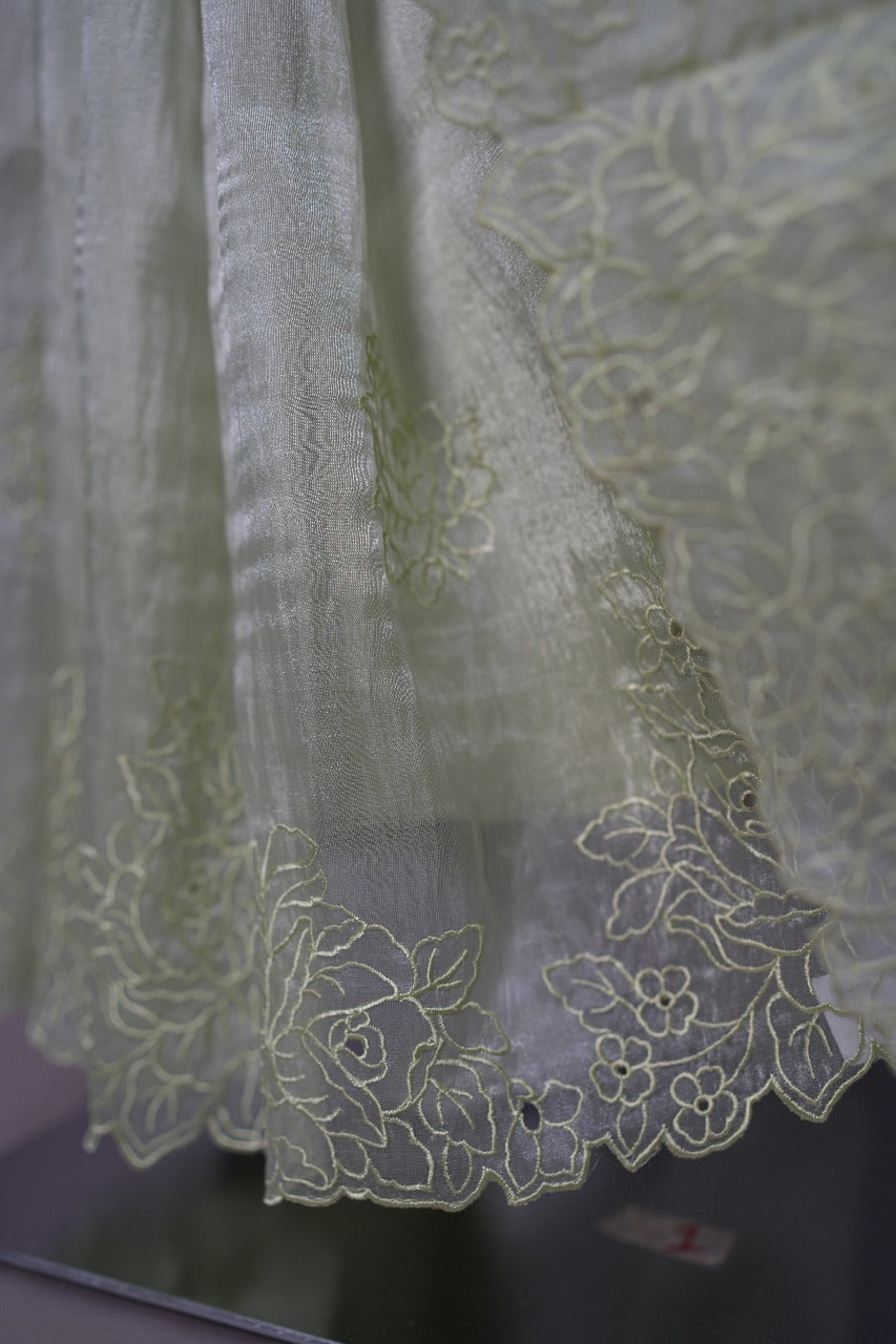Crushed Organza Saree TSA3420