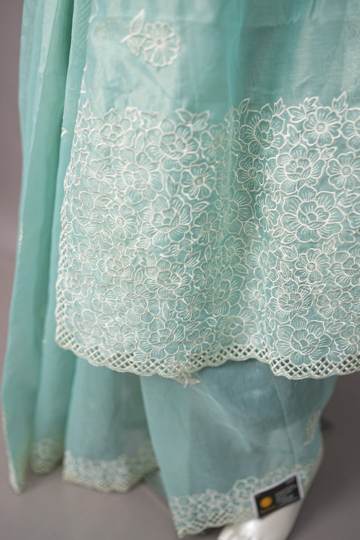 Nylon Organza Saree TSA3442