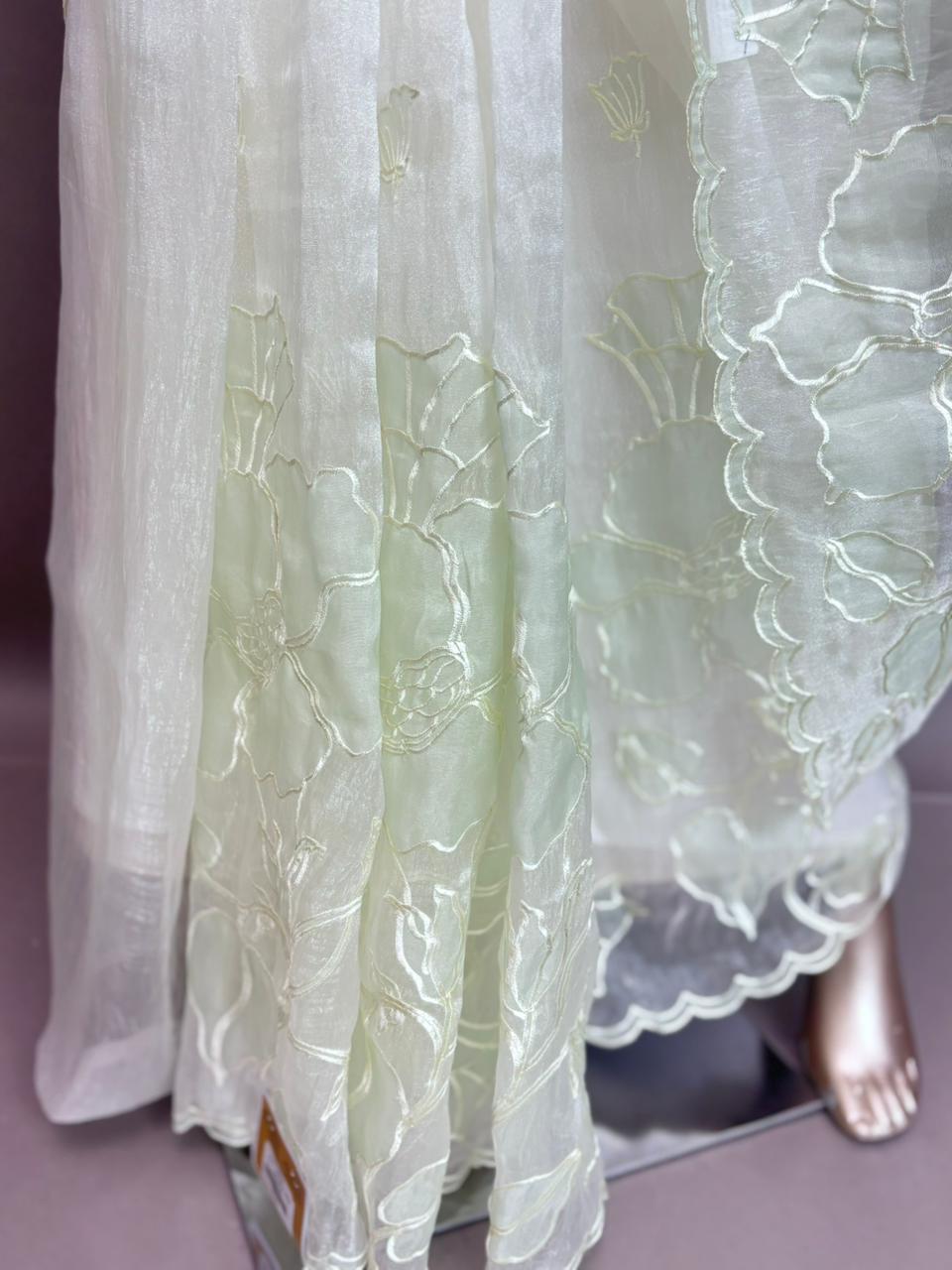 Applique Organza Sarees TSA3466