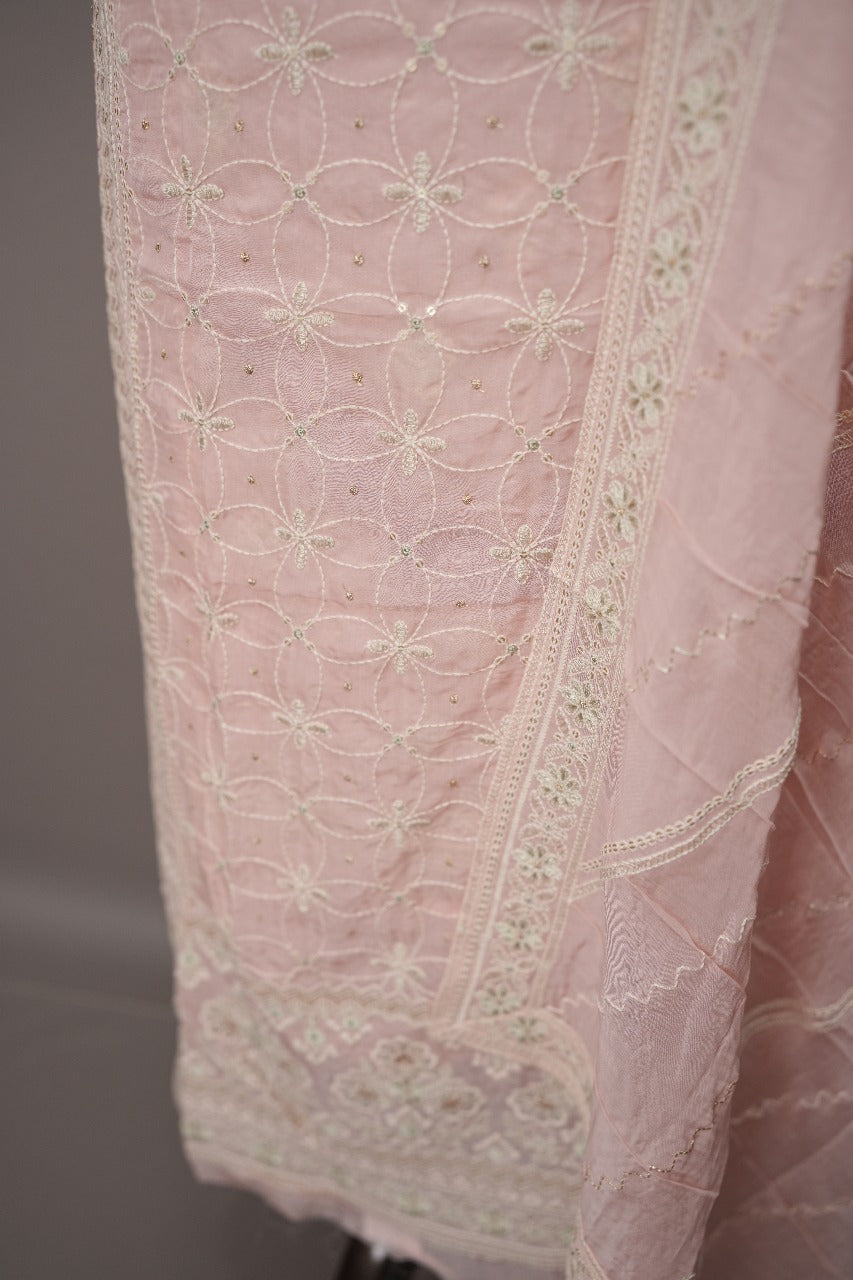 Viscose Organza Salwar TSS403
