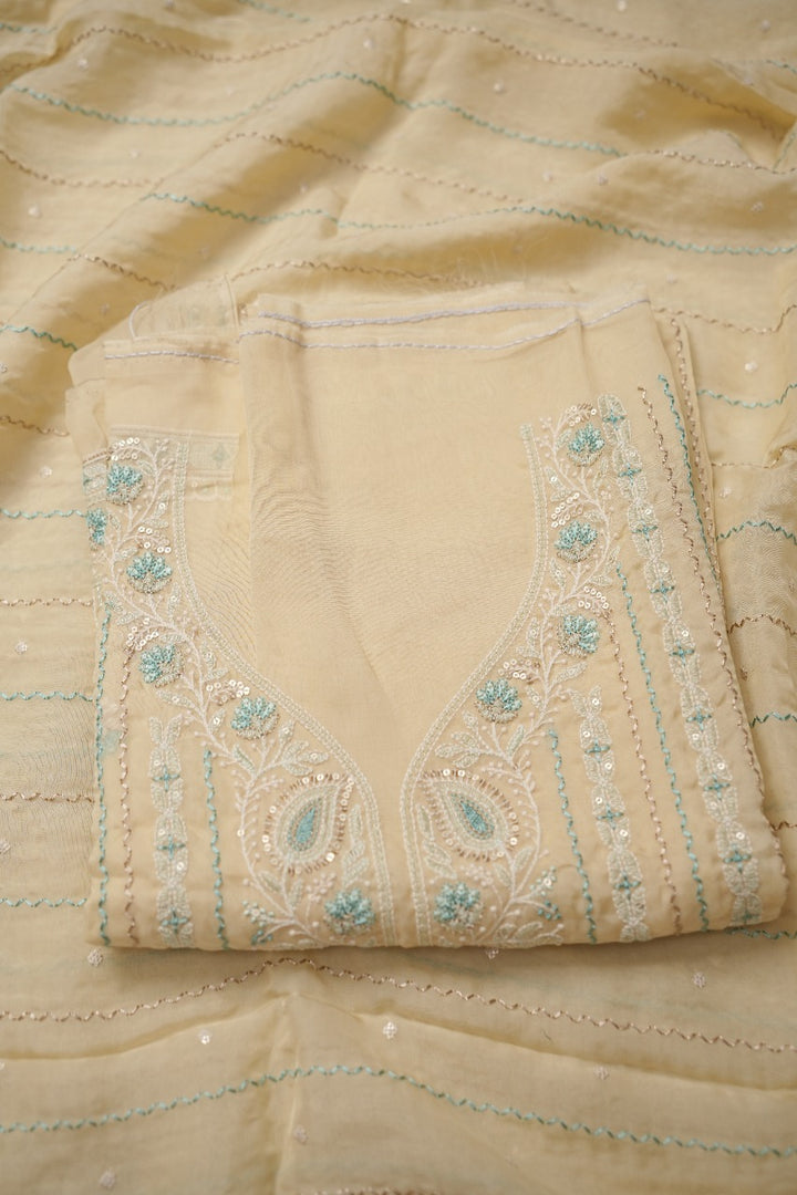Viscose Organza Salwar TSS410