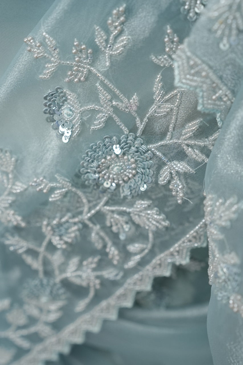 Tissue Organza Saree TSA3477