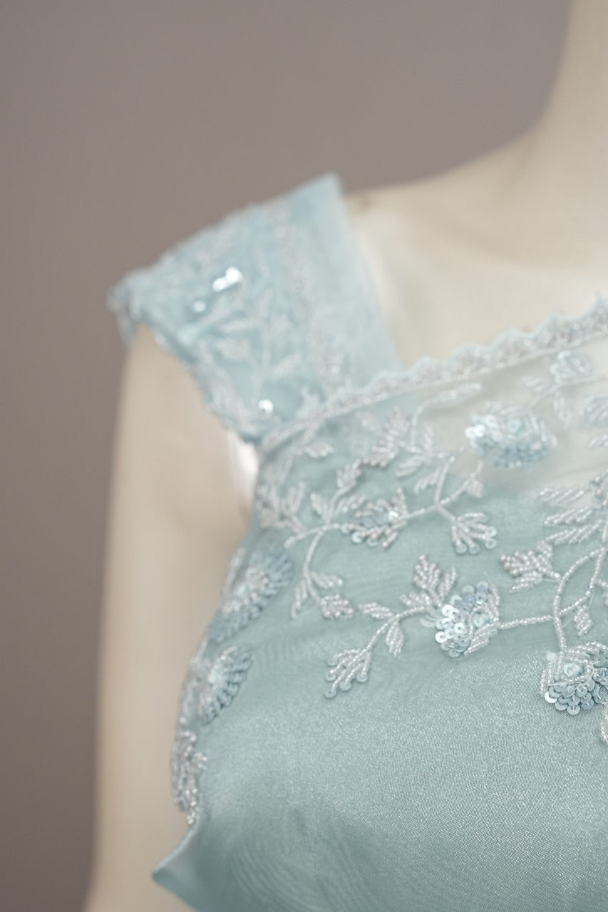 Tissue Organza Saree TSA3477