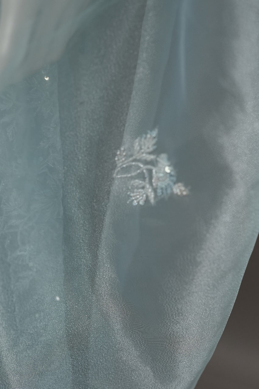 Tissue Organza Saree TSA3477