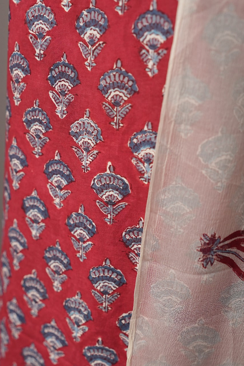 Printed Cotton Salwar TSS3493