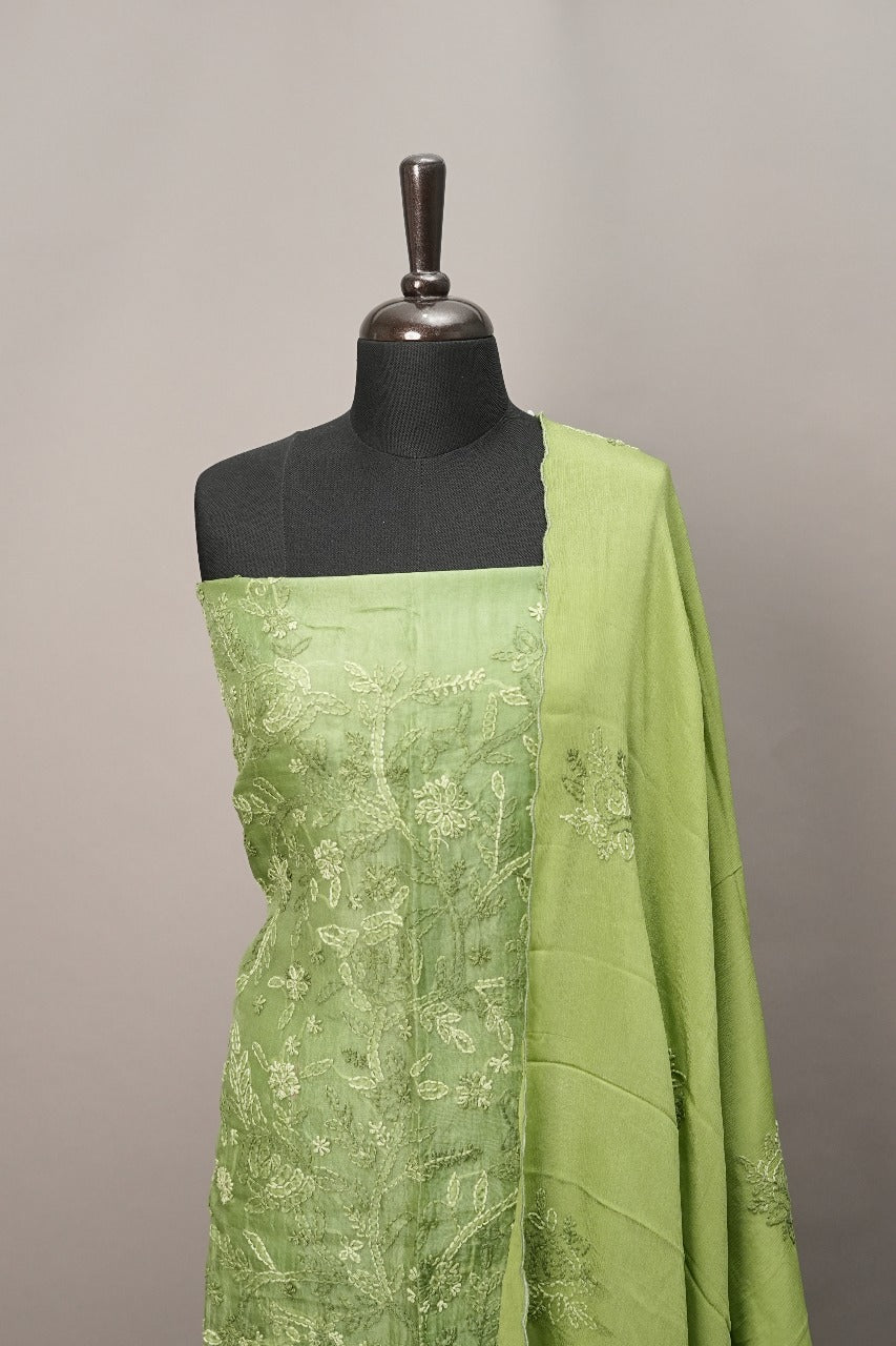 Organza Salwar TSS3494