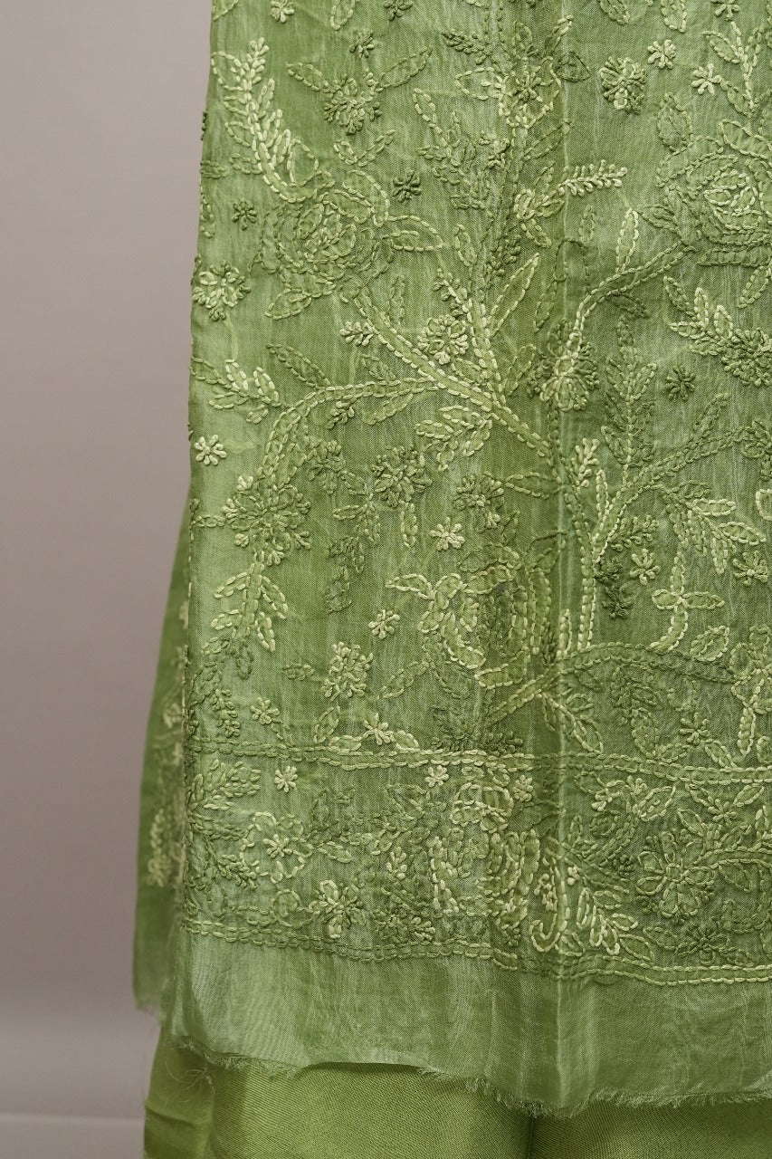 Organza Salwar TSS3494