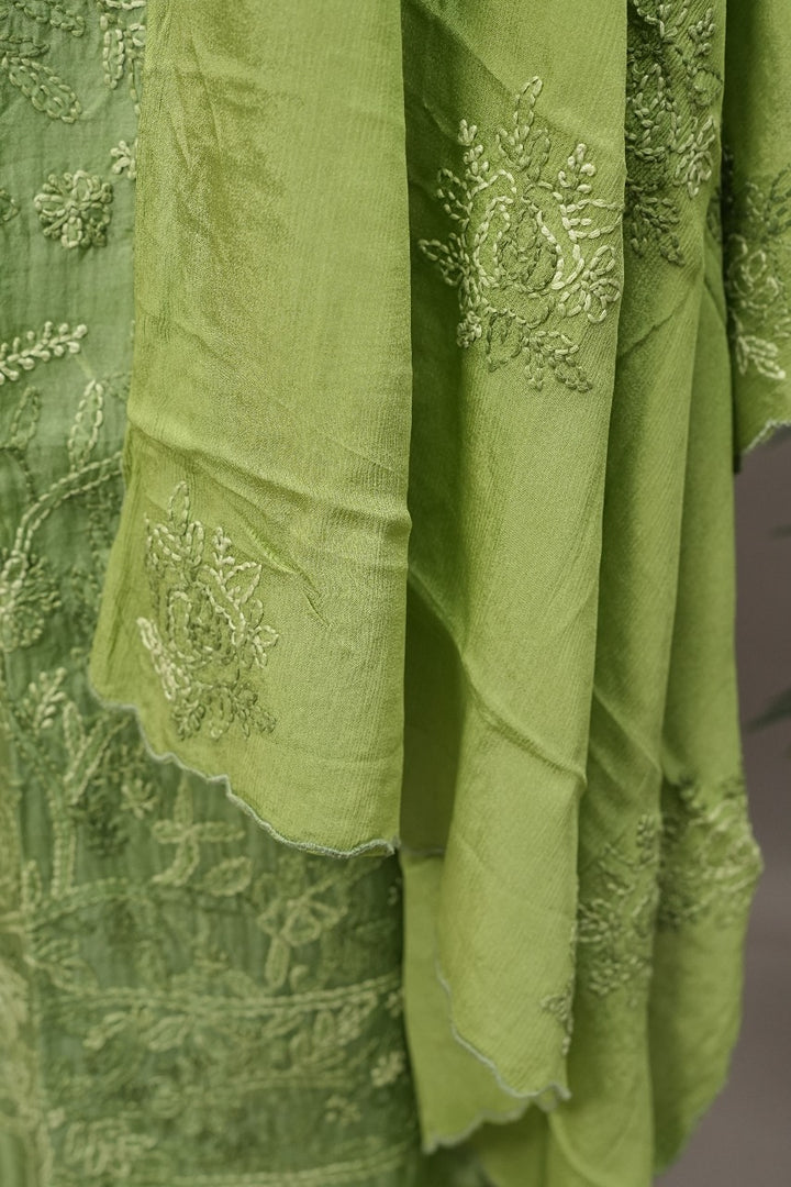 Organza Salwar TSS3494