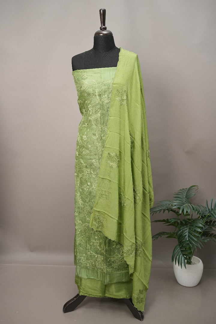 Organza Salwar TSS3494