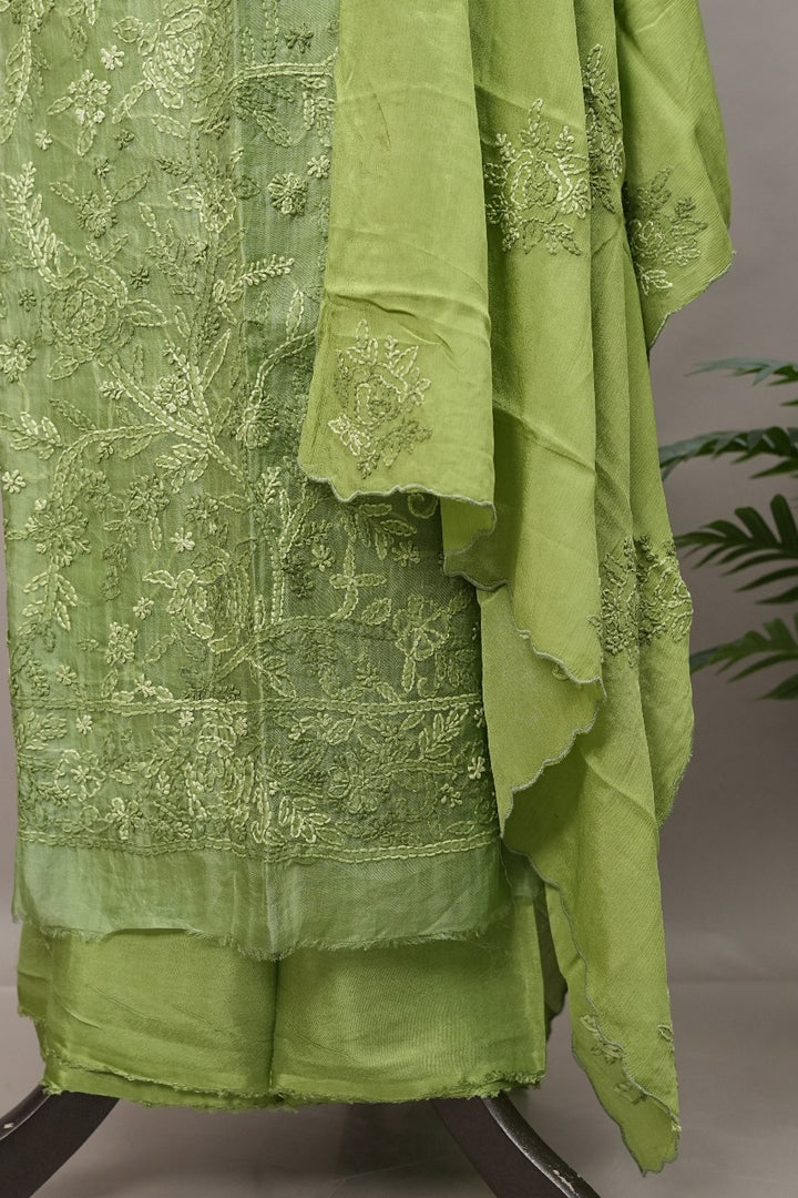 Organza Salwar TSS3494