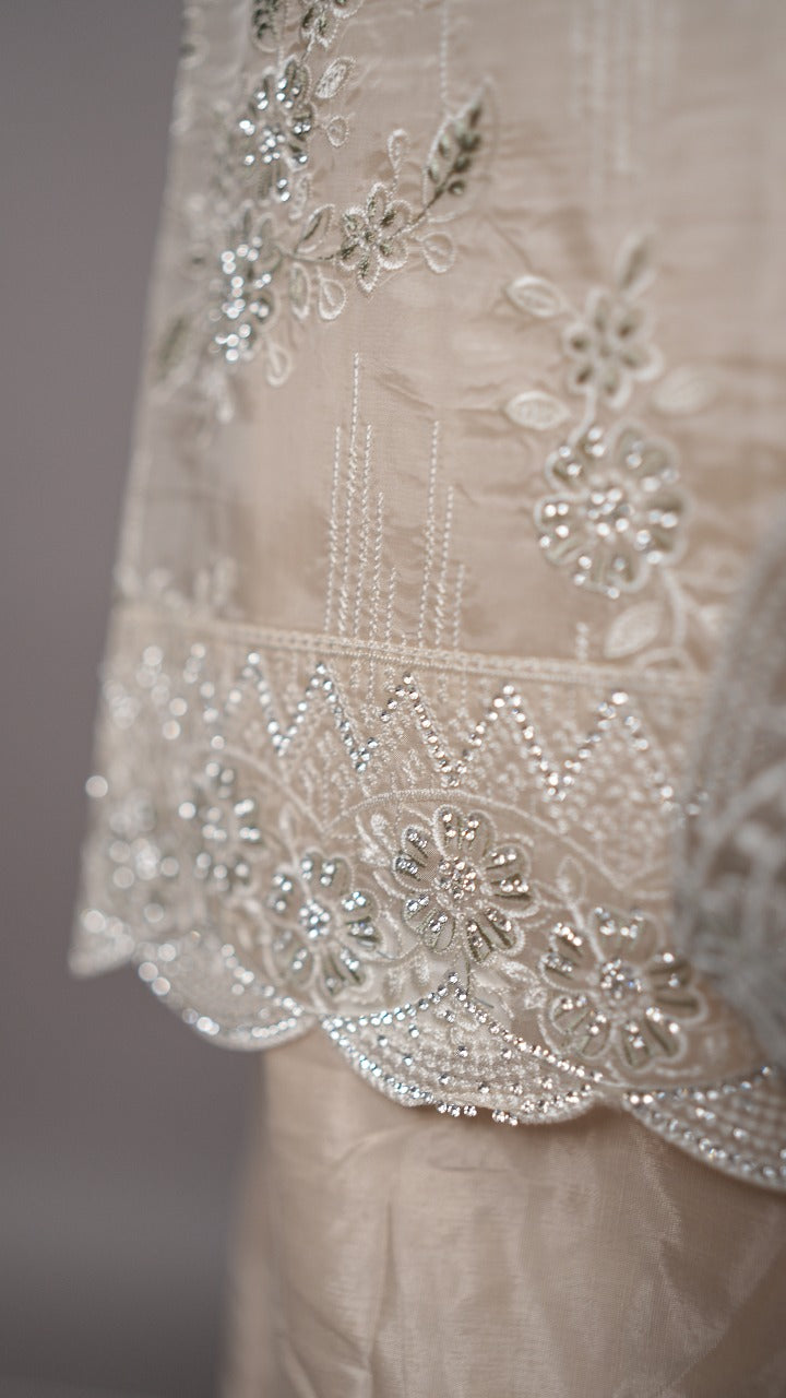 Viscose Organza Salwar TSS3512