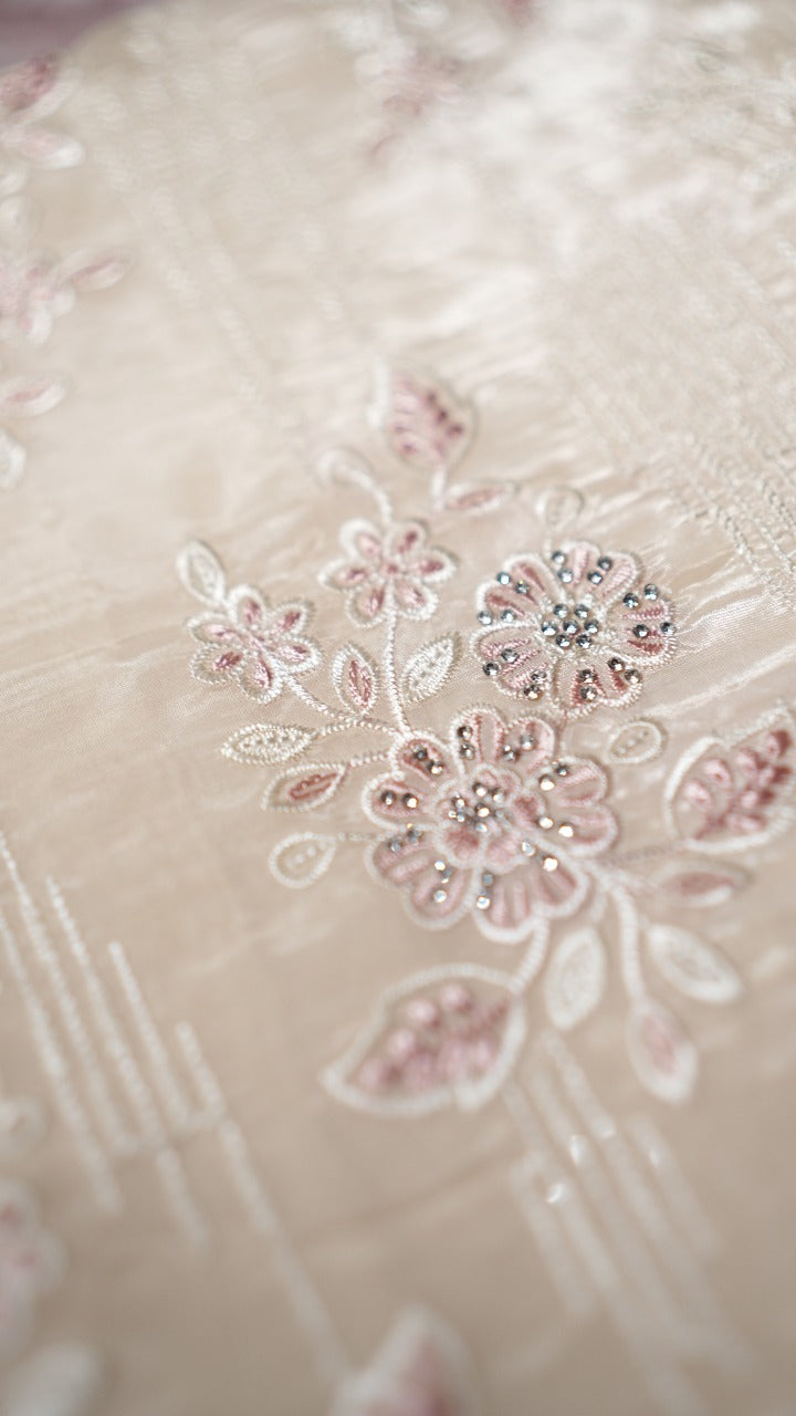 Viscose Organza Salwar TSS3512