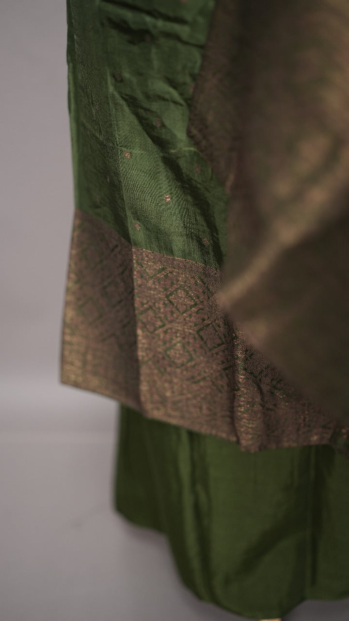 Banarasi Salwar TSS3517