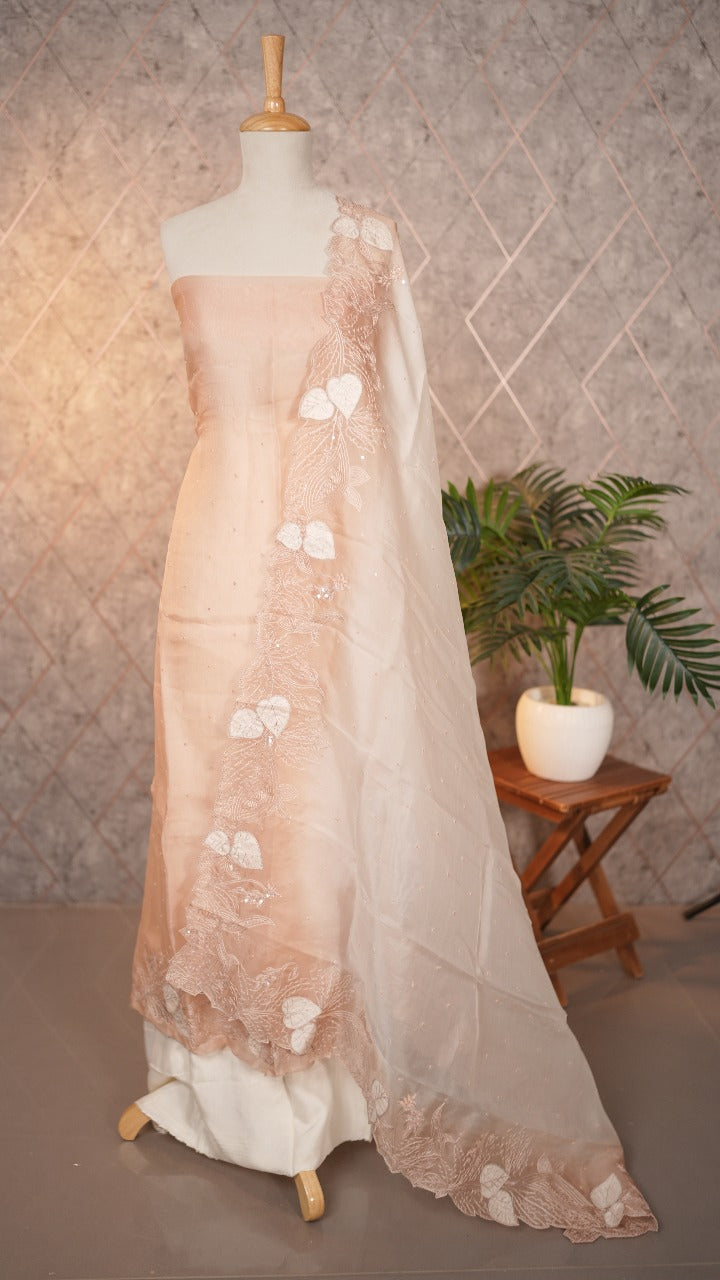 Organza Salwar TSS3532