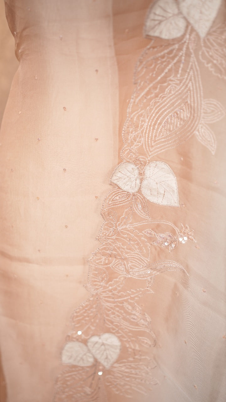 Organza Salwar TSS3532