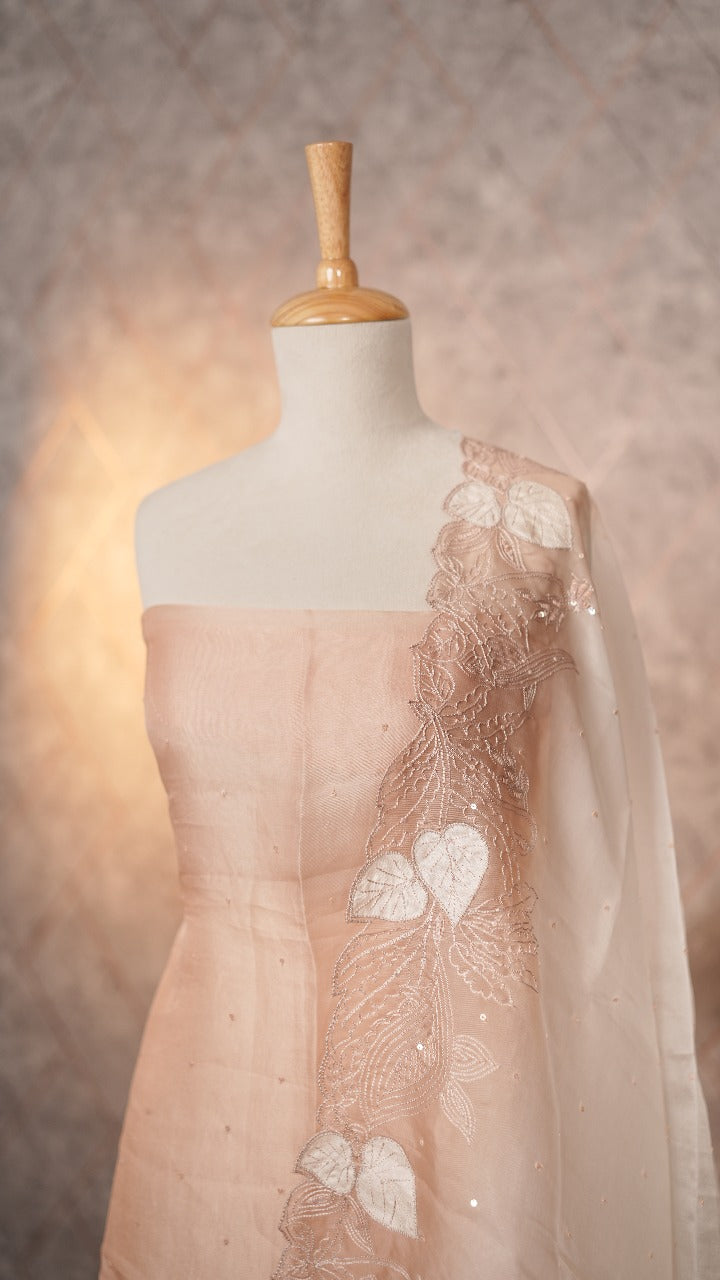 Organza Salwar TSS3532