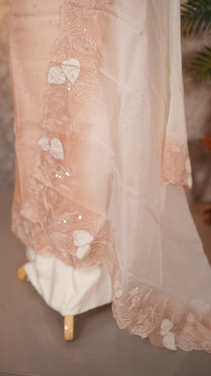 Organza Salwar TSS3532