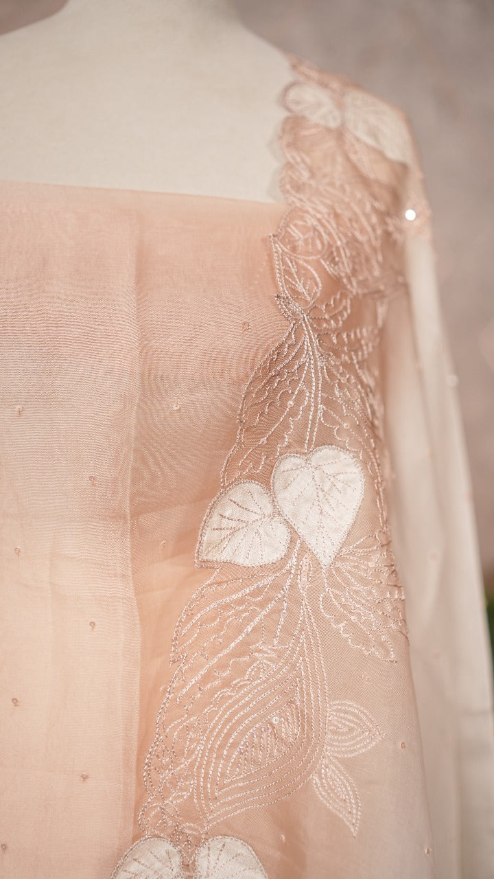 Organza Salwar TSS3532