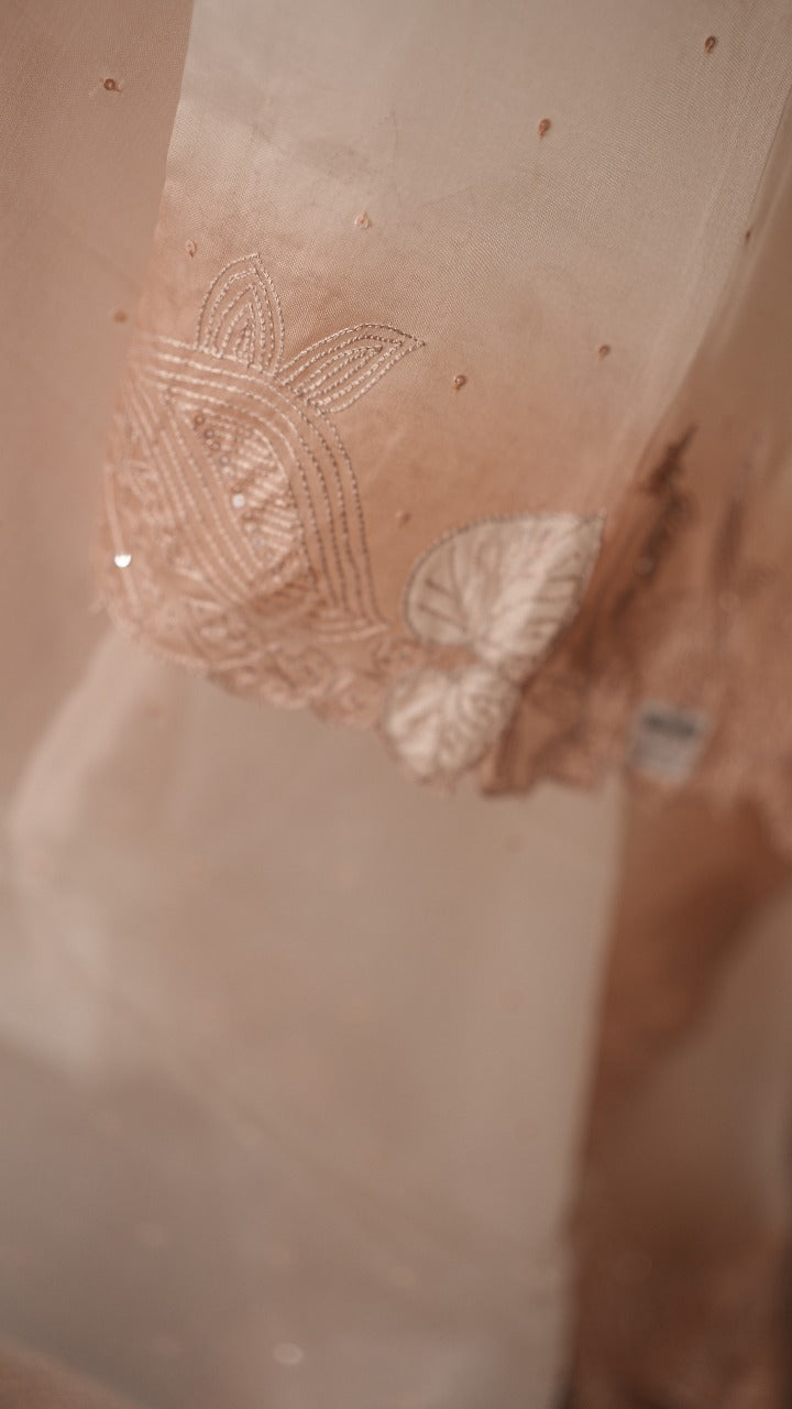 Organza Salwar TSS3532