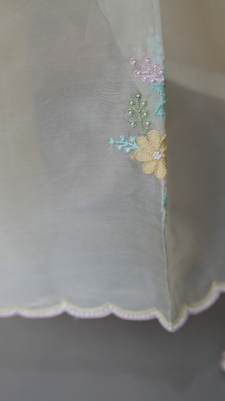 Organza Saree TSA3545