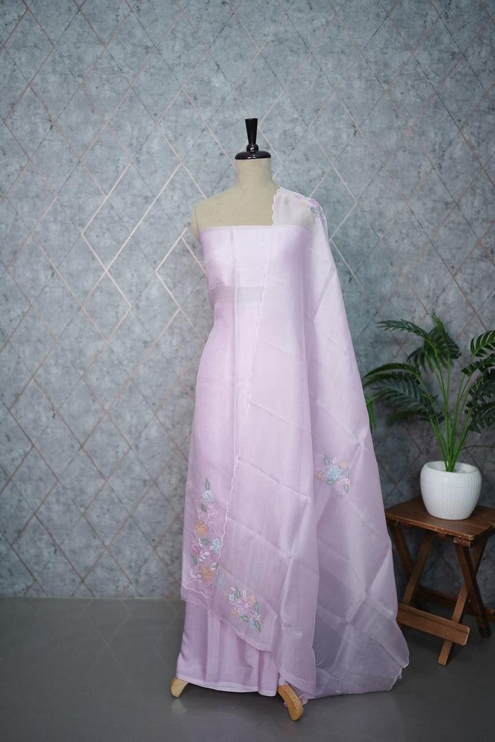 Organza Salwar TSS3604