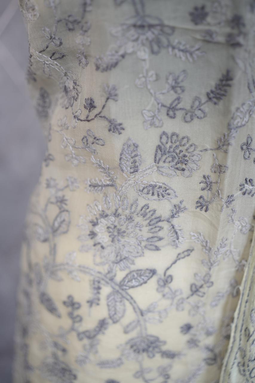 Organza Salwar TSS3611