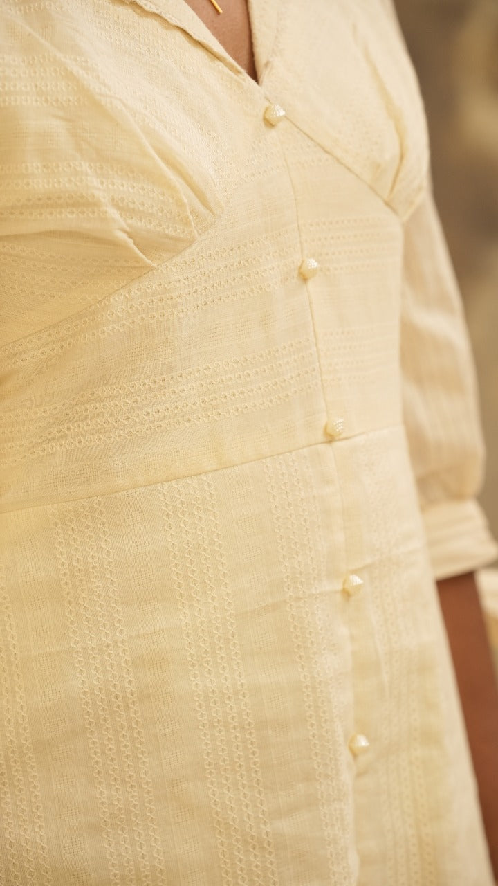 V- neck collared Dress TFR3009