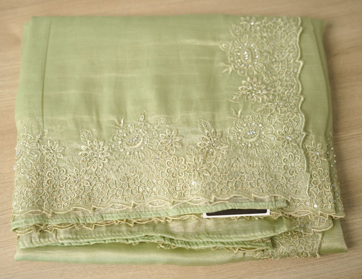 Tissue Organza Saree TSA3670