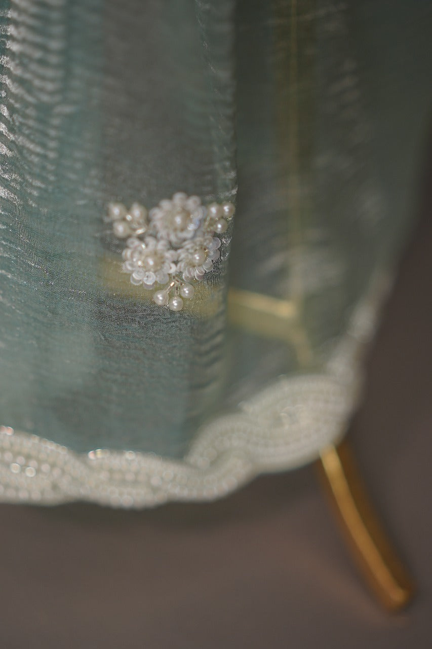 Crushed Organza Saree TSA3675