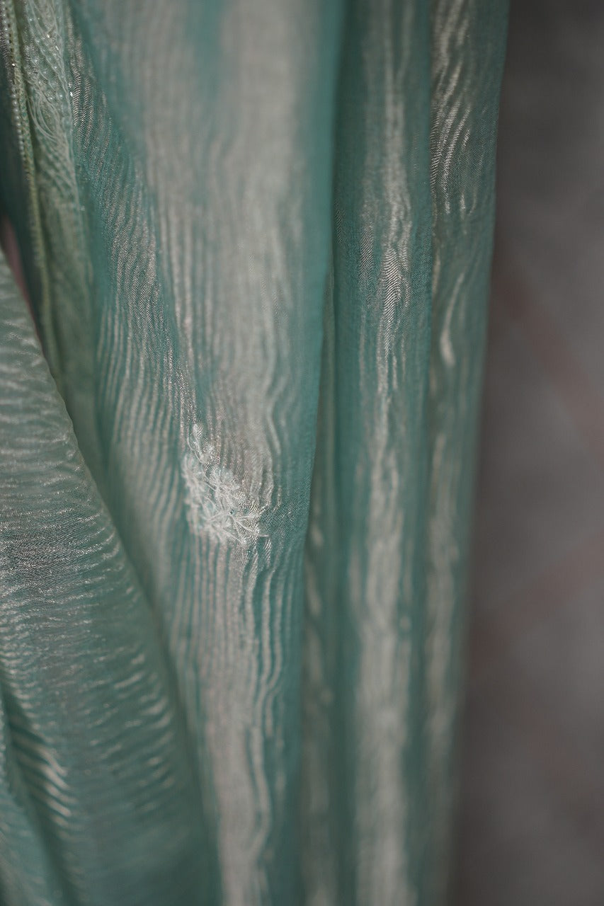 Crushed Organza Saree TSA3675