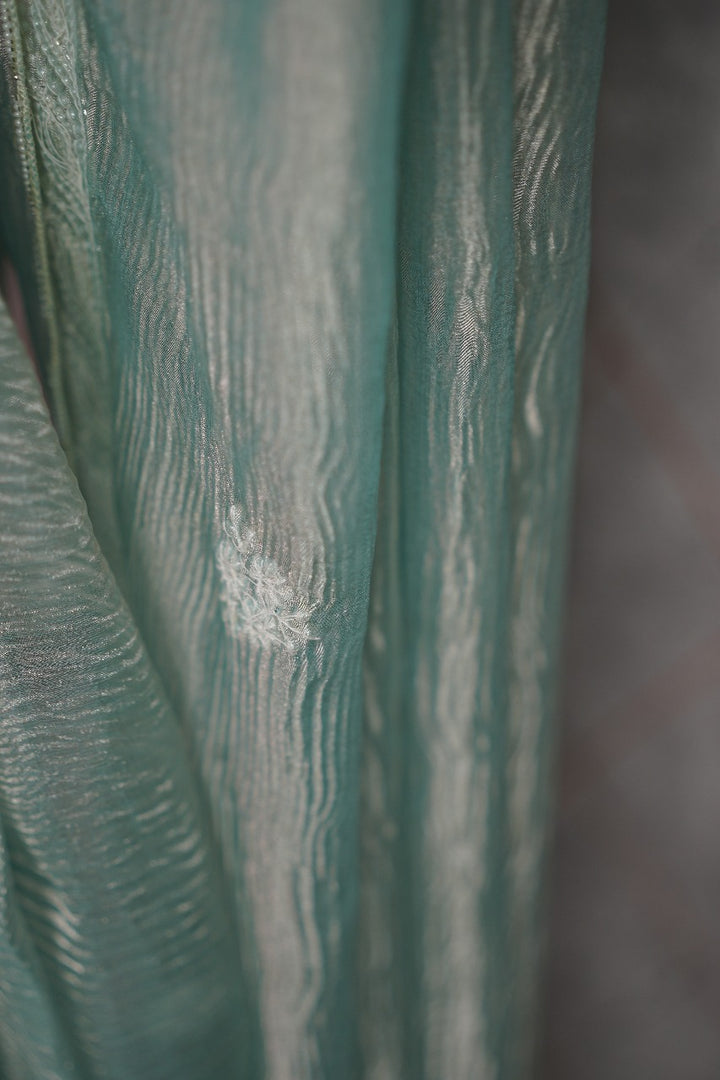 Crushed Organza Saree TSA3675