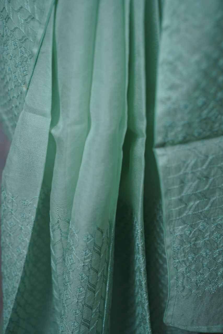 Organza Saree TSA3710