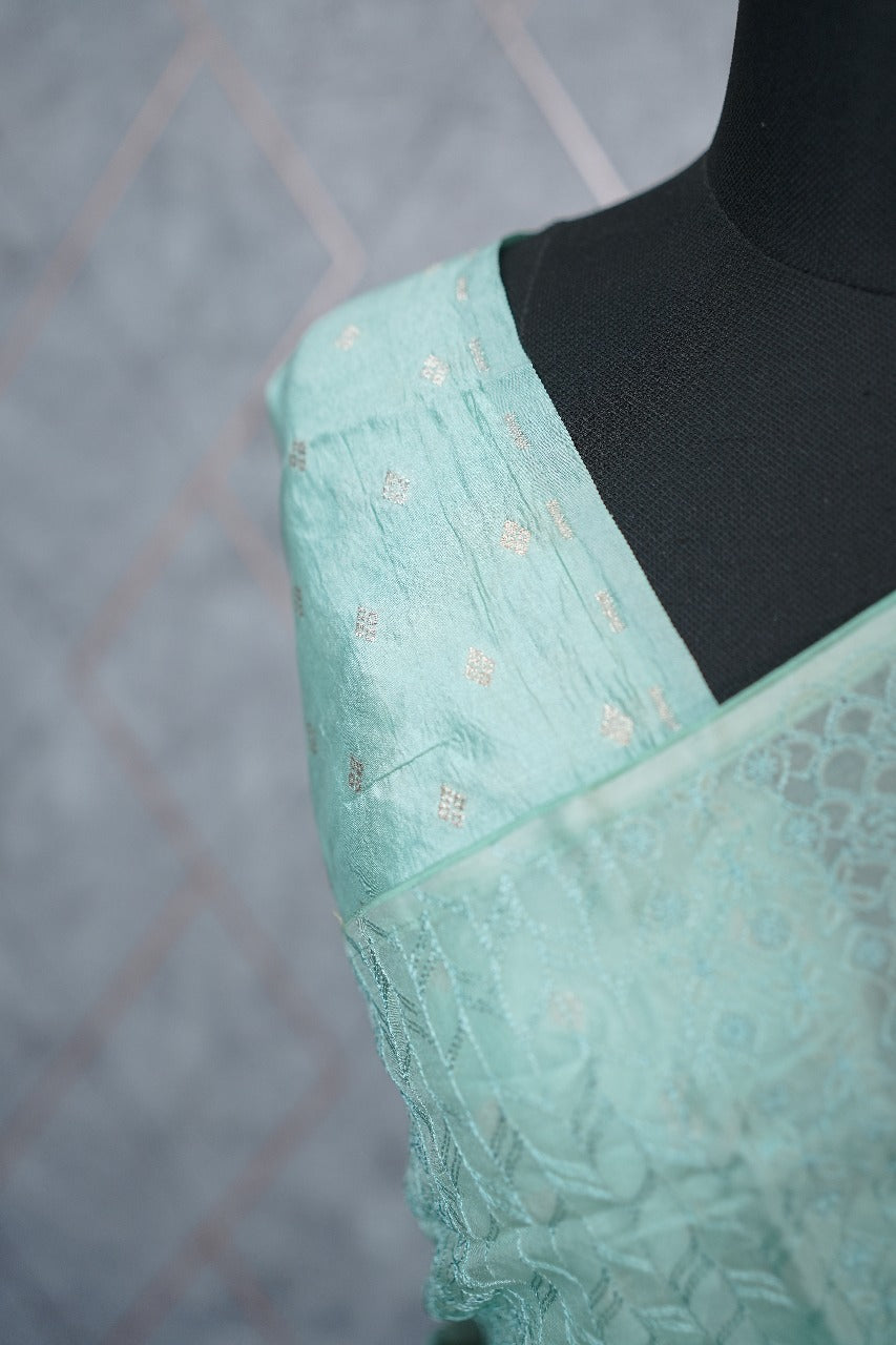 Organza Saree TSA3710