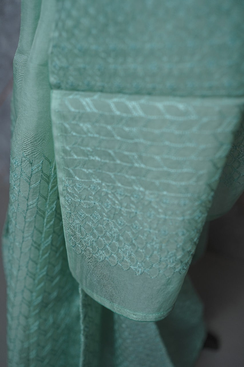 Organza Saree TSA3710