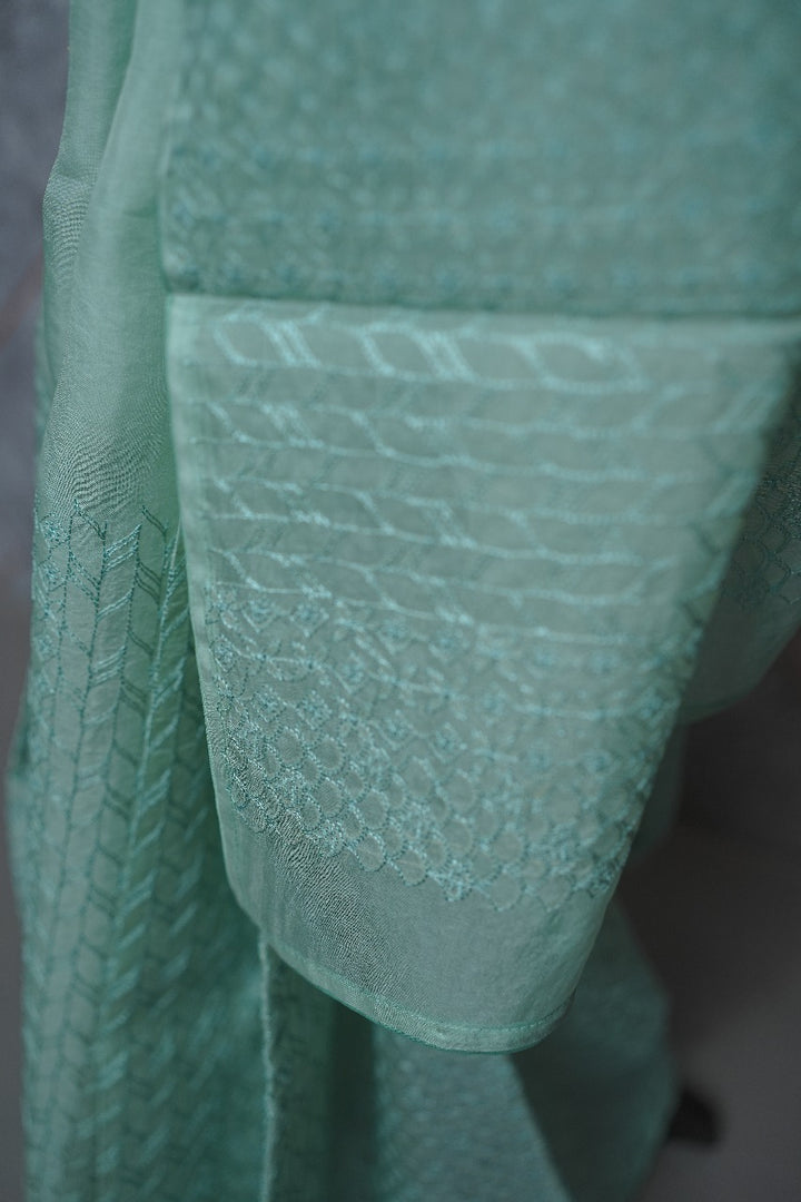 Organza Saree TSA3710