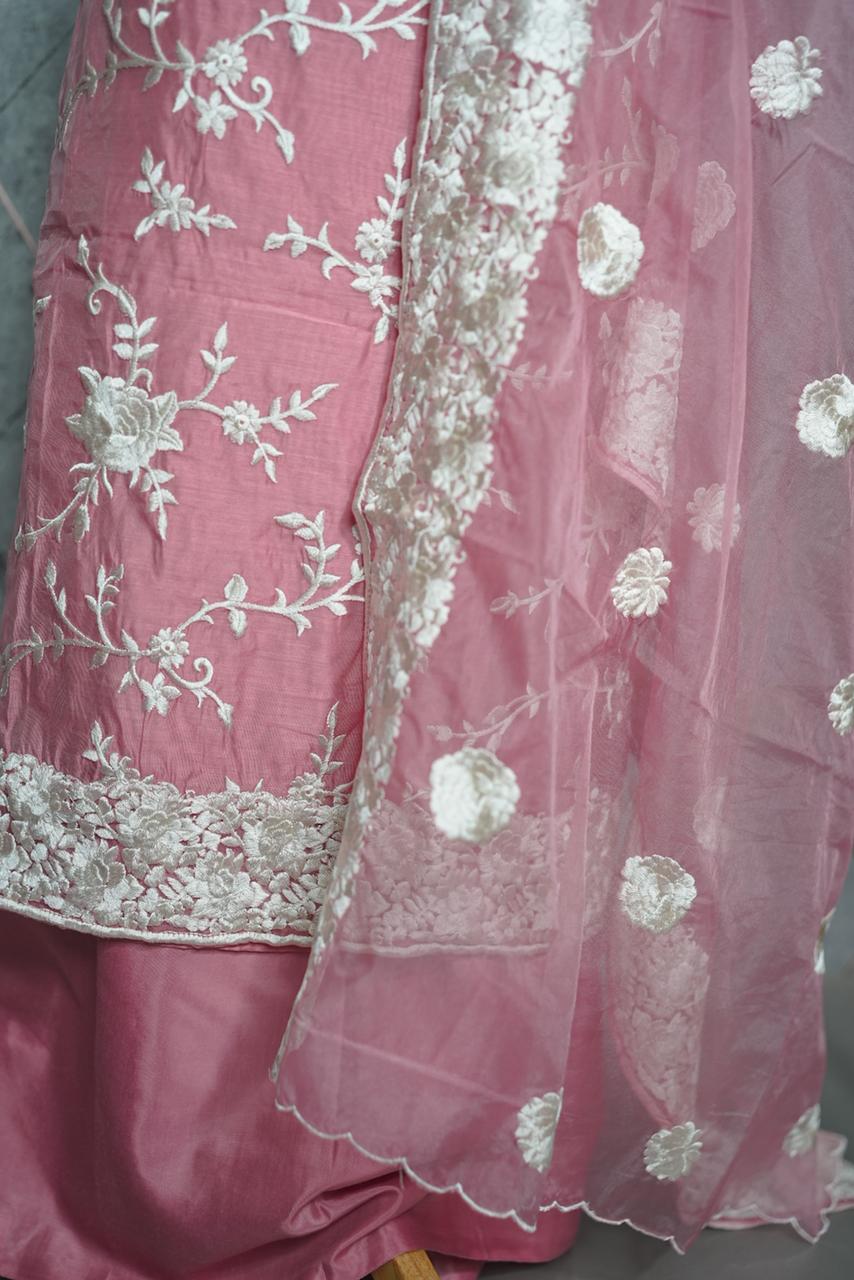 Art Organza Salwar TSS526
