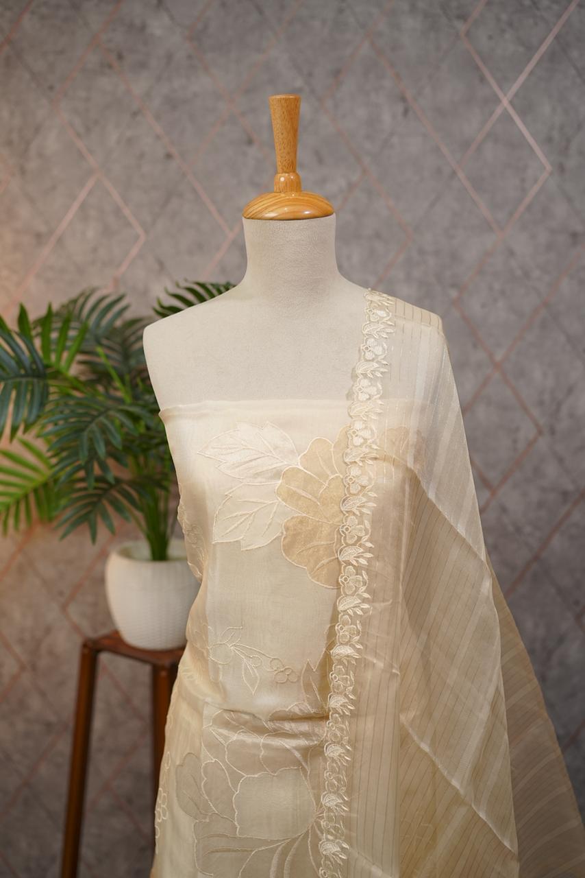 Organza Salwar TSS3705