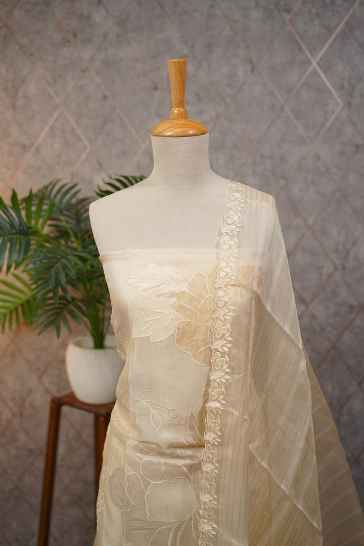 Organza Salwar TSS3705