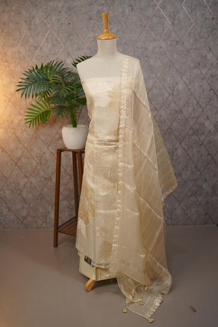 Organza Salwar TSS3705