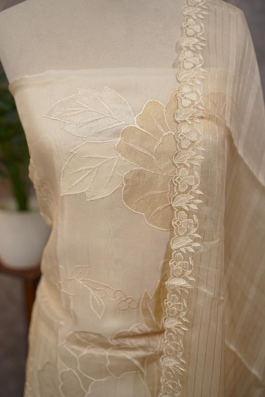 Organza Salwar TSS3705