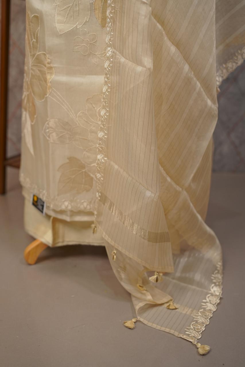 Organza Salwar TSS3705