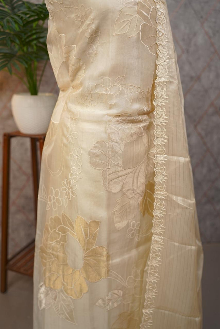 Organza Salwar TSS3705