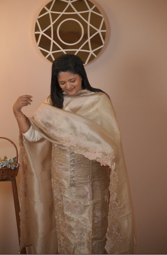 Tissue Organza Salwar TSS5677